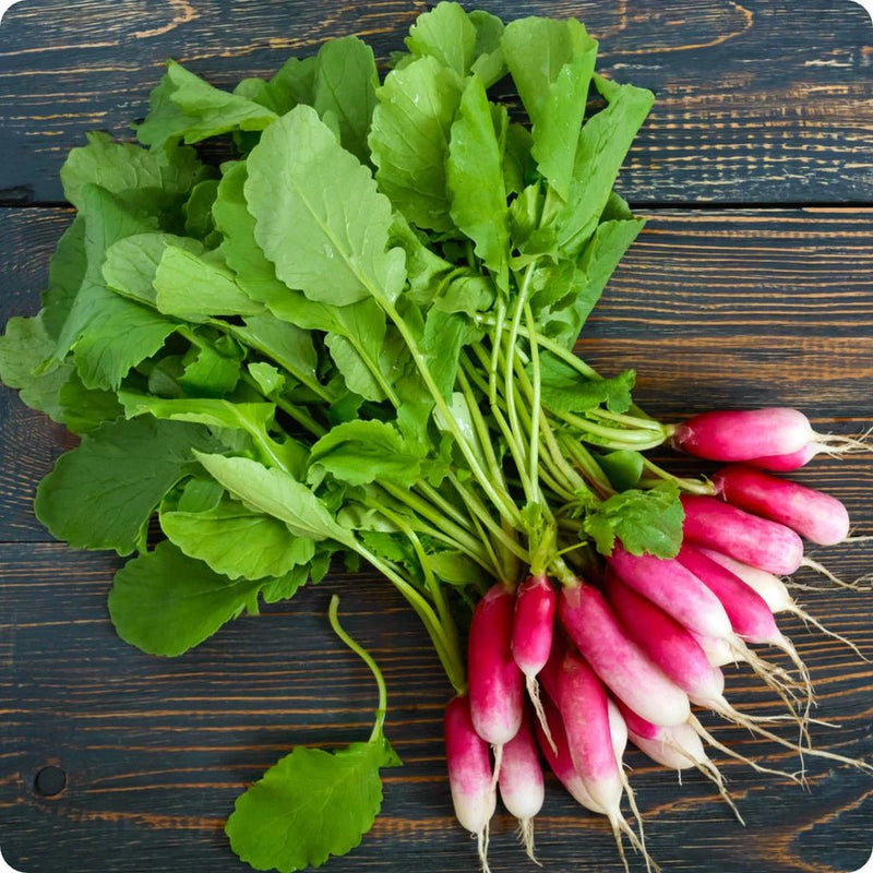 Radish Seeds - Hong Vit - Caribbean garden seed