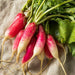Radish Seeds - Hong Vit - Caribbean garden seed