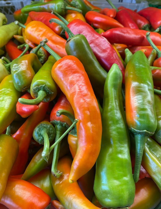 Pepper Seeds - Aji Cacho de Cabra, Mild - Caribbean garden seed