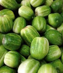 Cucumber Seeds - Richmond Green Apple - Caribbean garden seed