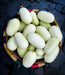 Cucumber Seeds - Dragon's Egg - Caribbean garden seed