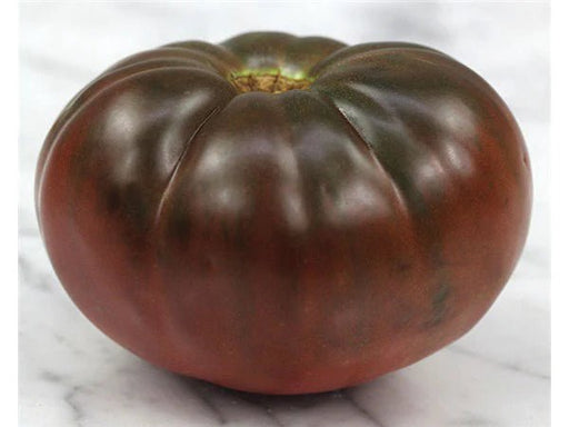 Tomato -Live Plants - Black Brandywine - Caribbean garden seed