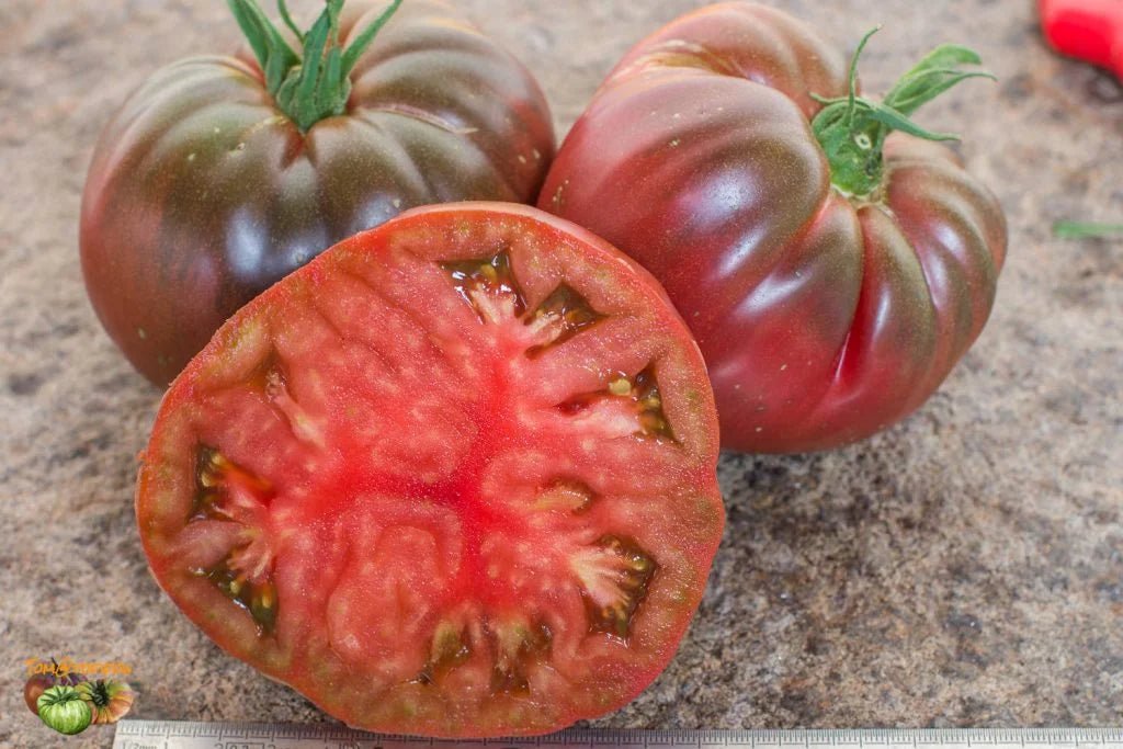Tomato -Live Plants - Black Brandywine - Caribbean garden seed