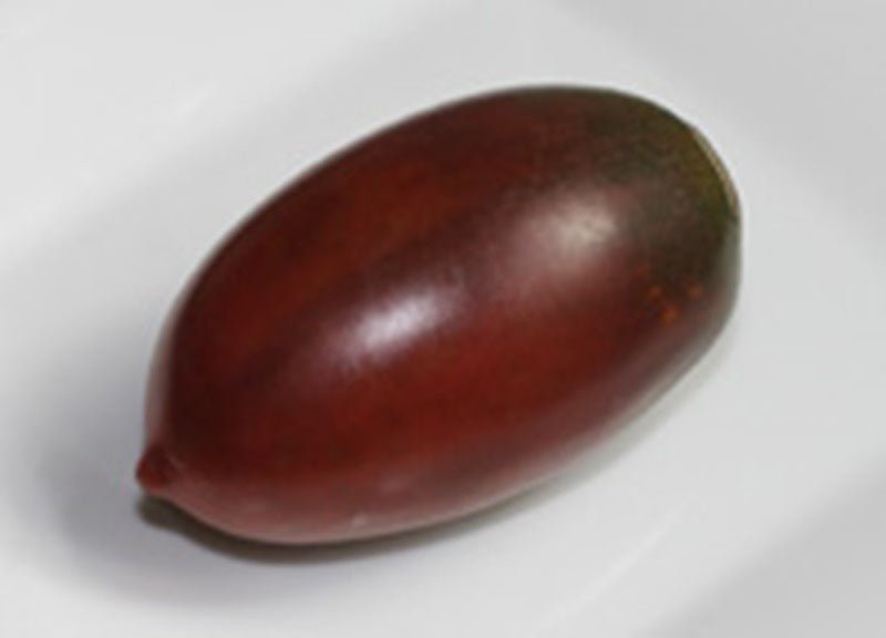 Purple Russian Tomato - Live Plants - Caribbean garden seed