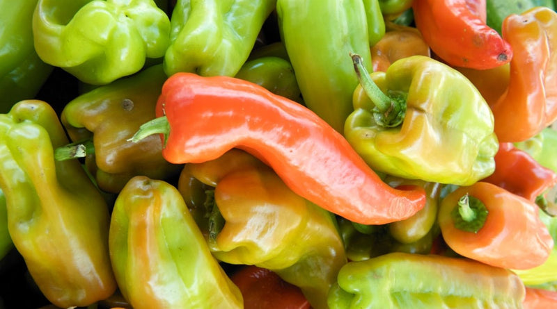 Beaver Dam Pepper ,Live Plants - Caribbean garden seed