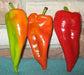 Beaver Dam Pepper ,Live Plants - Caribbean garden seed