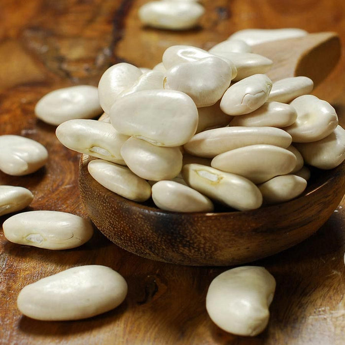 Giant Peruvian Lima Bean Seeds - Caribbean garden seed
