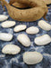 Bean Seeds - Greek Gigante - Pole - Caribbean garden seed