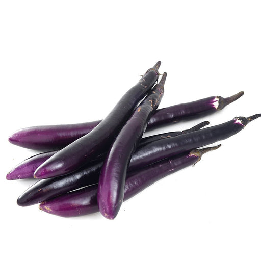 Oriental Express - Eggplant (3'POT) Live Plants - Caribbean garden seed