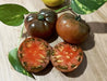 Live tomato Plants - Darkstar - Caribbean garden seed