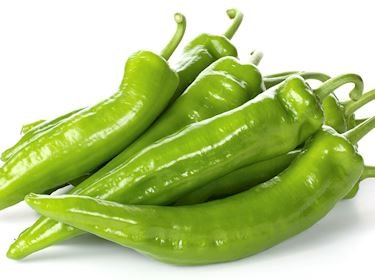 Spanish Spice Pepper  - LIVE PLANTS - Caribbean garden seed