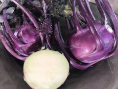 Kohlrabi Live Starter Plants – Green Kossak or Purple Vienna