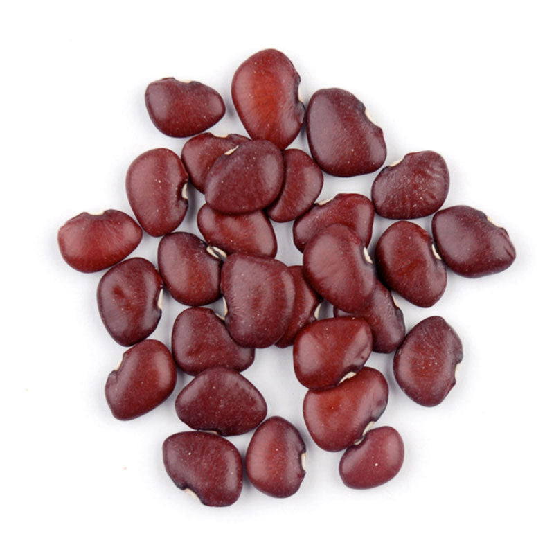 Dutch Purple Burgundy Pole Lima Bean Seeds