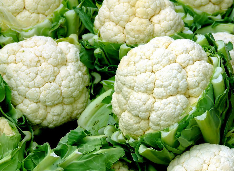 5 Flamenco Cauliflower Live Plants