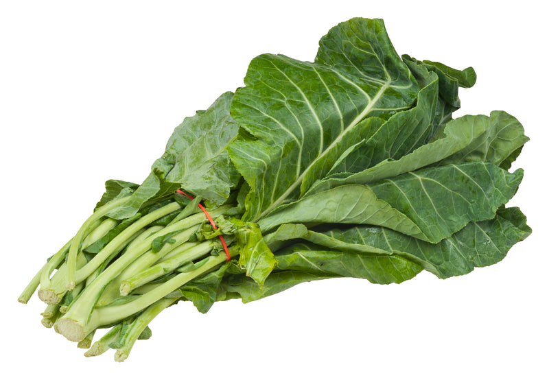 Top Bunch Collard Green - 4 Live Plants