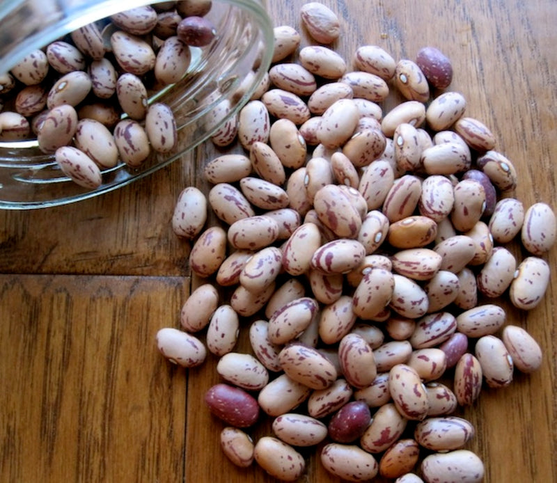 White Cargamanto Bean Seeds | Colombian Heirloom