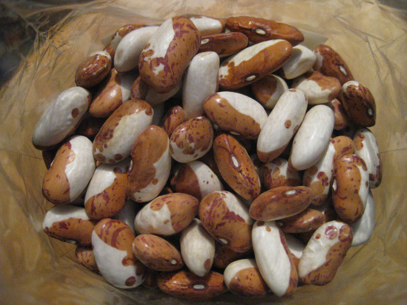 Snowcap Pole Bean Seeds | 100 Seeds