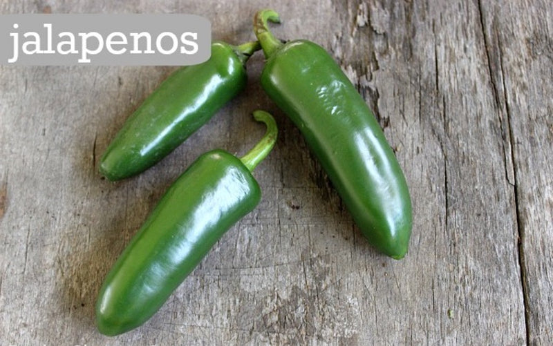 Fooled You Jalapeno Hot Peppers Seeds