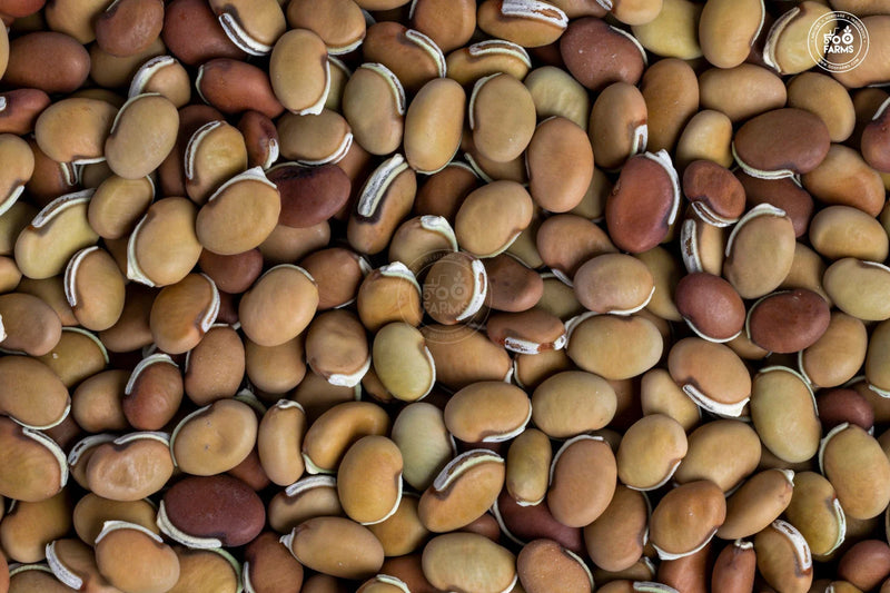 Lakshmi Valor Lablab Bean Seeds | Asian Vegetable