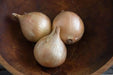 Ailsa Craig onions Seed ( long-day ) Allium cepa., asian vegetable - Caribbeangardenseed