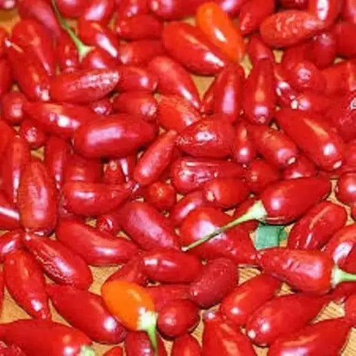 Aji Little Finger Red , PEPPER SEEDS - Capsicum baccatum - Caribbean garden seed