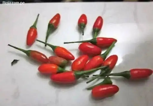 Aji Pinguita de Mono ( 10 Pepper seeds) Capsicum annuum,From Peruvian jungle. - Caribbean garden seed