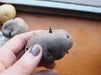 All Blue potato ,Speciality Potato, Retained Color while cooking. High in antioxidants.. - Caribbean garden seed