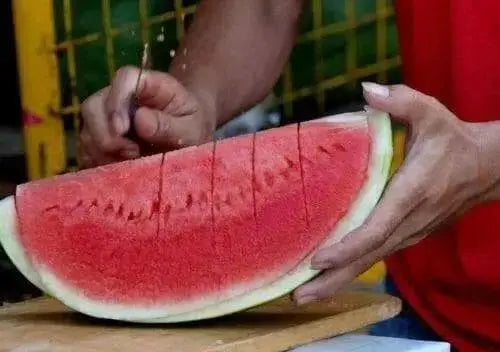 Ancient Watermelon seeds, VINE - Caribbean garden seed