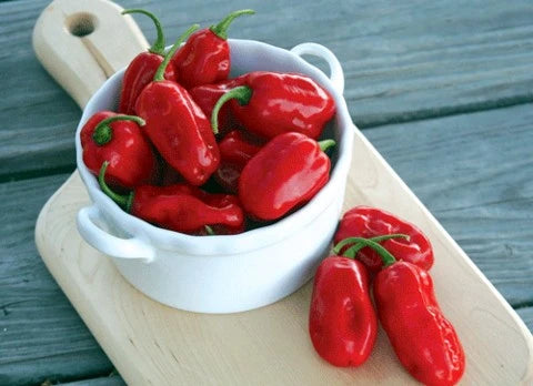 Zavory Mild Habanero Pepper Seeds