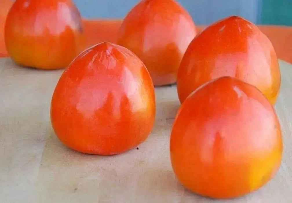 Asian Persimmon  Seeds , Fruit Tree Shrub ! - Caribbean garden seed