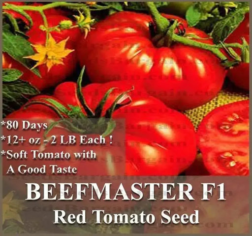 Beefmaster Hybrid Tomato Seeds - Caribbeangardenseed