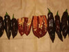 BERBERE Ethiopian Brown Pepper Seed ( Capsicum chinense) Very hot - Caribbean garden seed