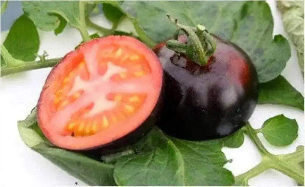 Black tomatoes. kumato tomato Seeds - Slicing tomato - SPANISH Heirloom - Caribbean garden seed