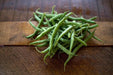 Blue Lake 274 Bush Bean Seeds. A classic bush bean, produces a huge crop of flavorful beans - Caribbean garden seed