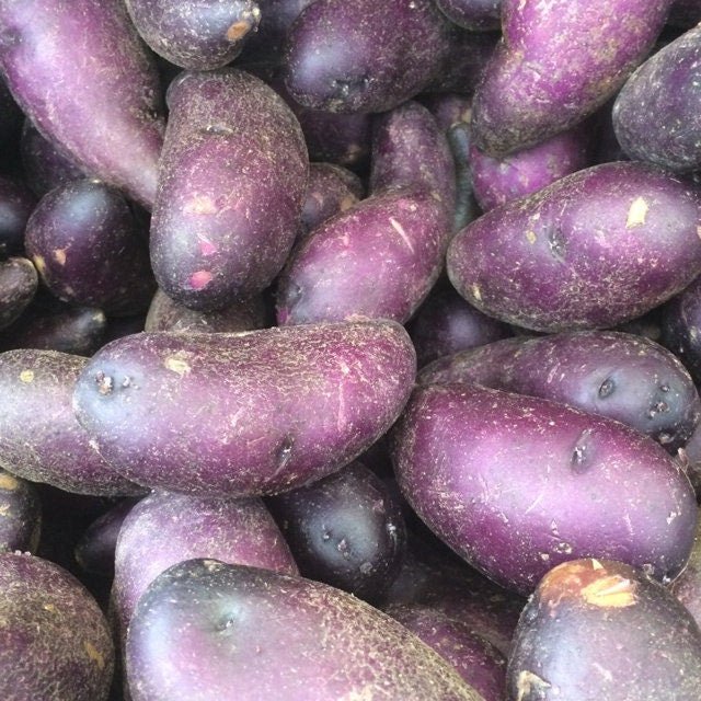 Blue potato ,Speciality Potato, Color is retained while cooking. Excellent yields and flavor. Stores well.