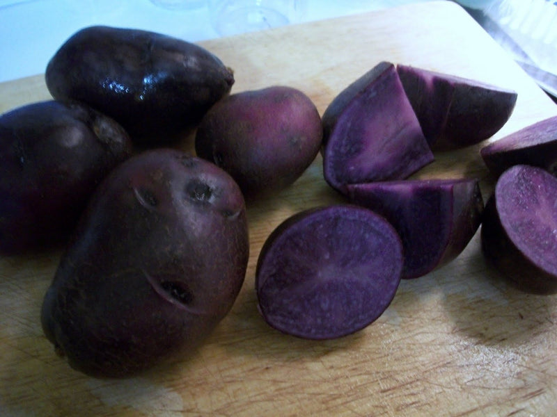 Blue potato ,Speciality Potato, Color is retained while cooking. Excellent yields and flavor. Stores well.