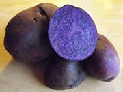 Blue potato ,Speciality Potato, Color is retained while cooking. Excellent yields and flavor. Stores well.
