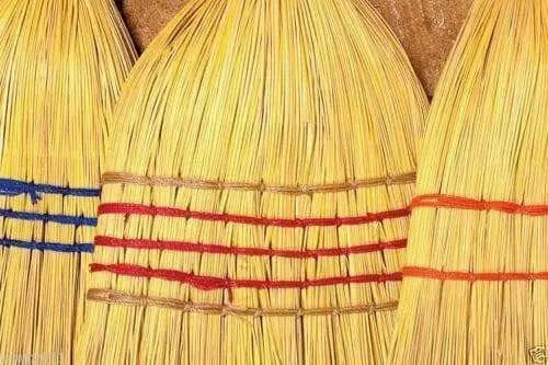 BROOM CORN SEEDS - Sorghum vulgar Mixed ,Cream,Gold,Red, Brown,Burgundy and More - Caribbean garden seed