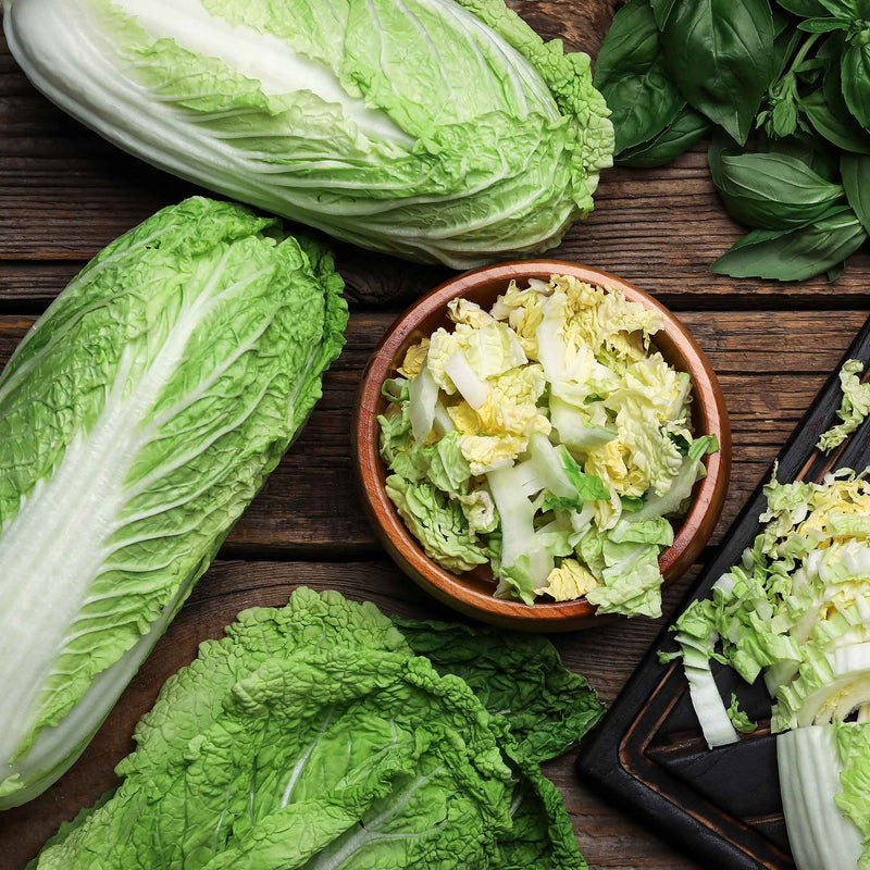 Michihili Chinese Cabbage Live Plants - 5 Plant Pack