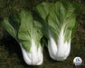 Cabbage Seeds - Dwarf Pak Choi - Caribbean garden seed