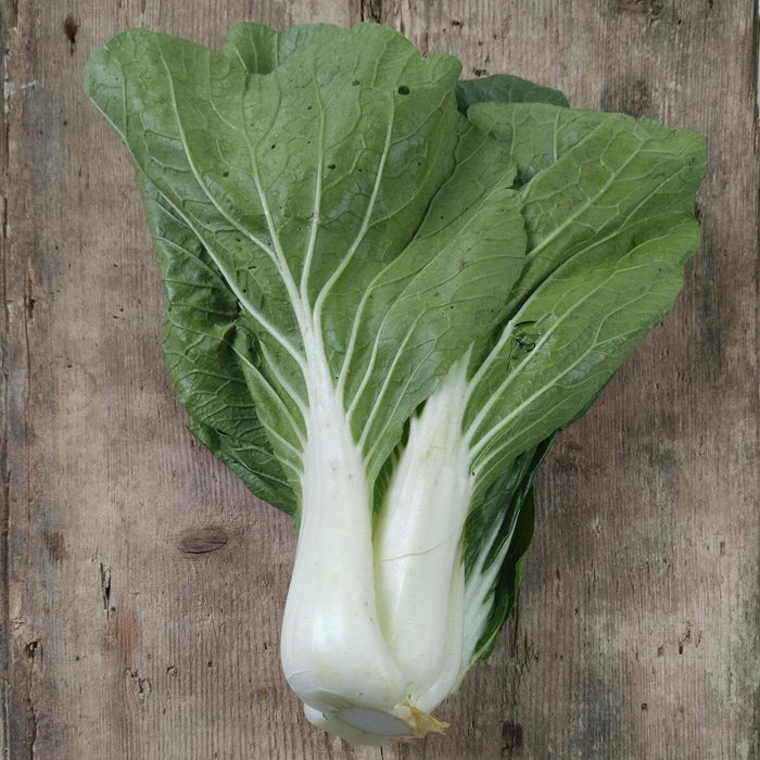 Cabbage, Seeds, Pak Choi -  Taisai