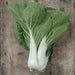 Cabbage, Seeds, Pak Choi -  Taisai - Caribbean garden seed