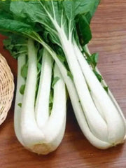 Long Bok Choi Seeds - Taisai - White Stem, Asian Vegetable - Caribbean garden seed