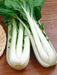 Long Bok Choi Seeds - Taisai - White Stem, Asian Vegetable - Caribbean garden seed