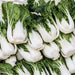 Cabbage Seeds - Pak Choi  ,White Stem - Caribbean garden seed