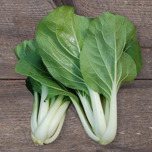 Cabbage Seeds - Pak Choi  ,White Stem - Caribbean garden seed