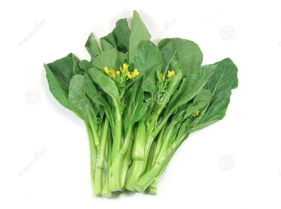 Cantonese pak choy Seeds,  Asian Vegetables,Late spring or late summer/fall - Caribbean garden seed