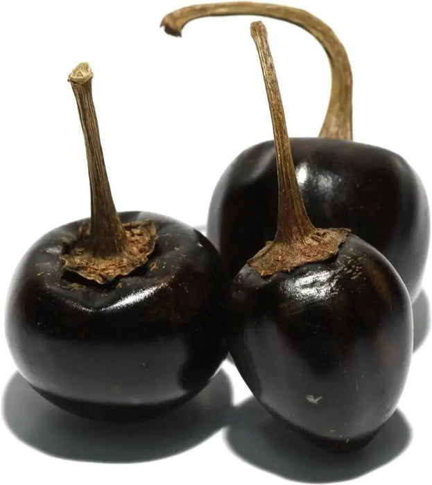 Cascabel Hot Pepper Seed (Capsicum annuum)-Organically Grown ! - Caribbeangardenseed