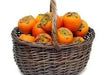 Caucasian Persimmon SEEDS, FRUIT TREE - Caribbean garden seed