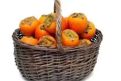 Caucasian Persimmon SEEDS, FRUIT TREE - Caribbean garden seed